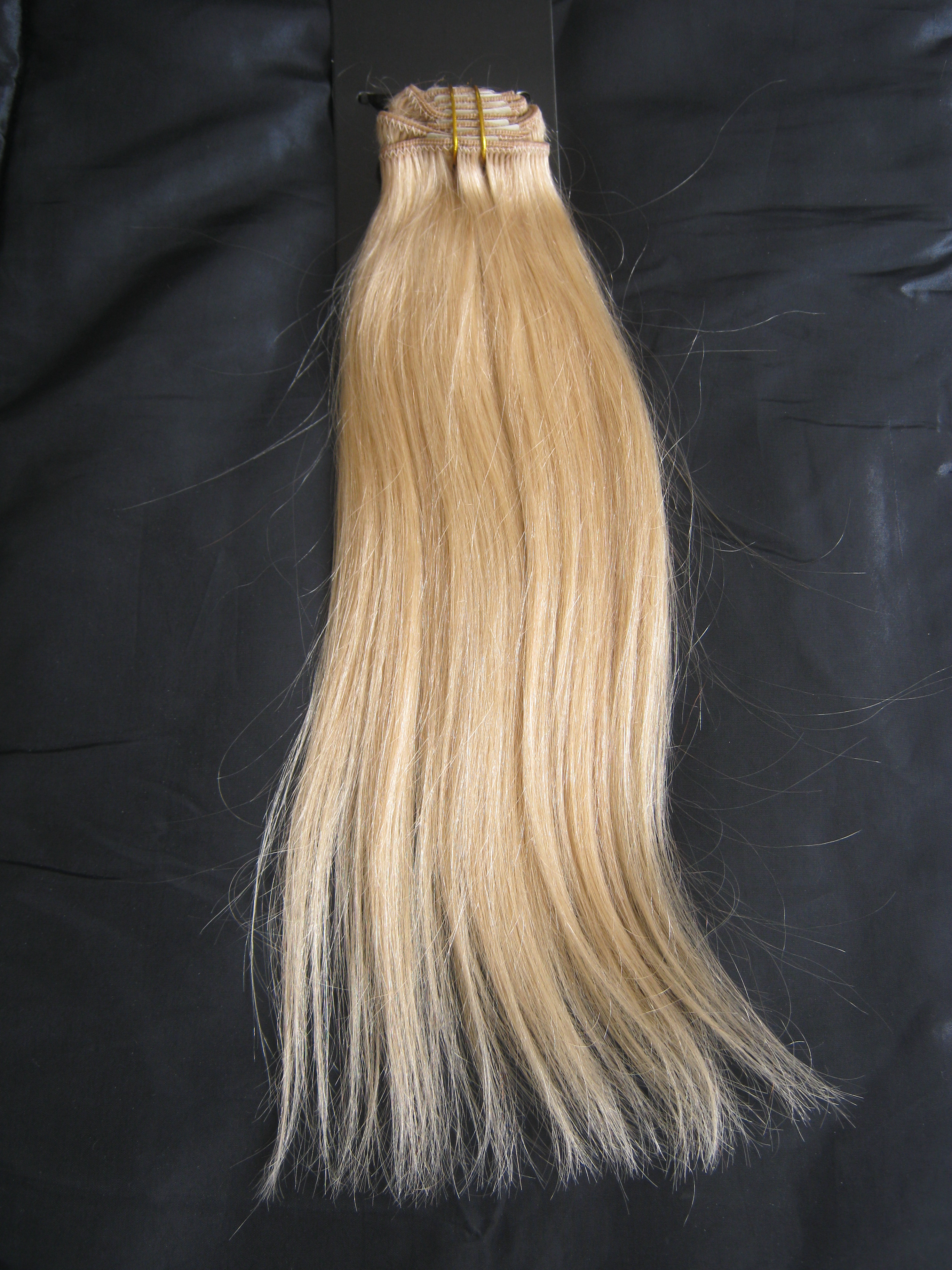 Halo Hair Extensions -Golden Blonde #24 Review - Steph Style